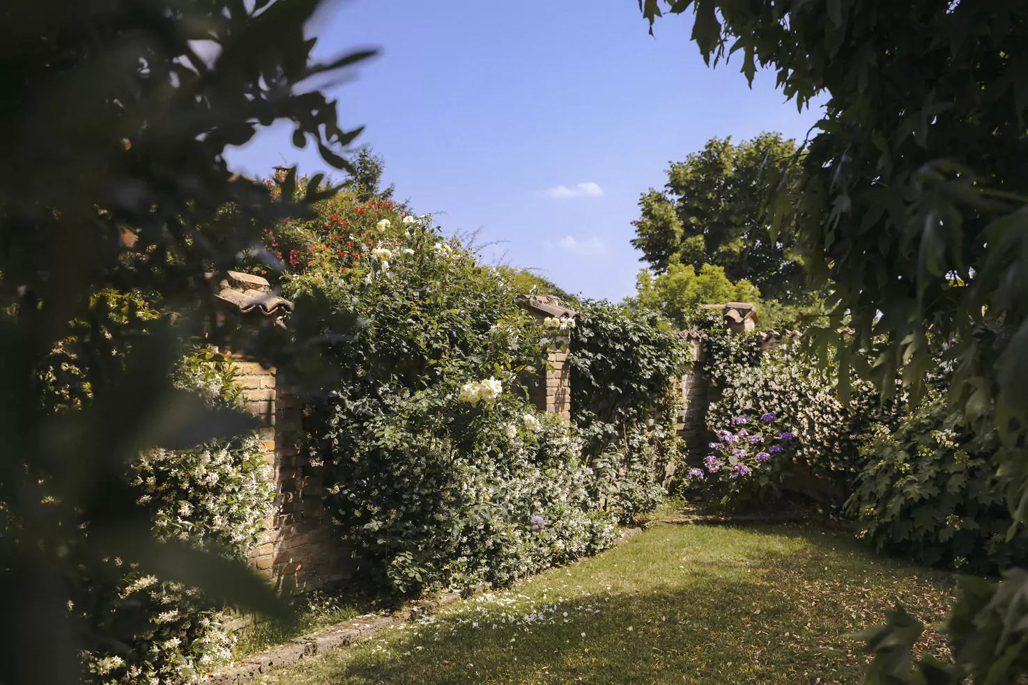 Slide Image